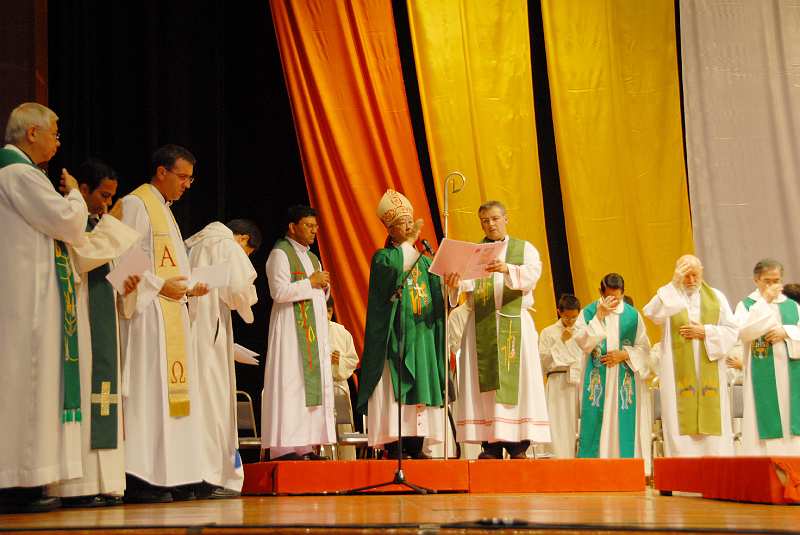 DSC (211)